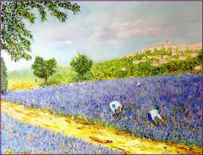 CHAMP DE LAVANDE A GORDES