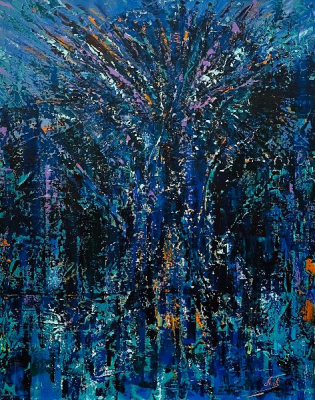 Forêt Nocturne
