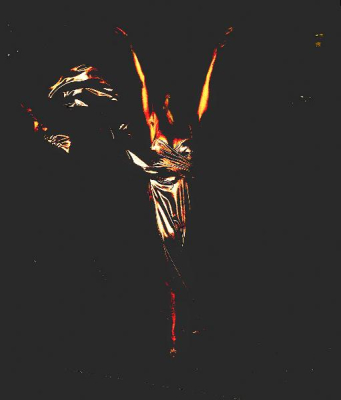 Bailarina°8